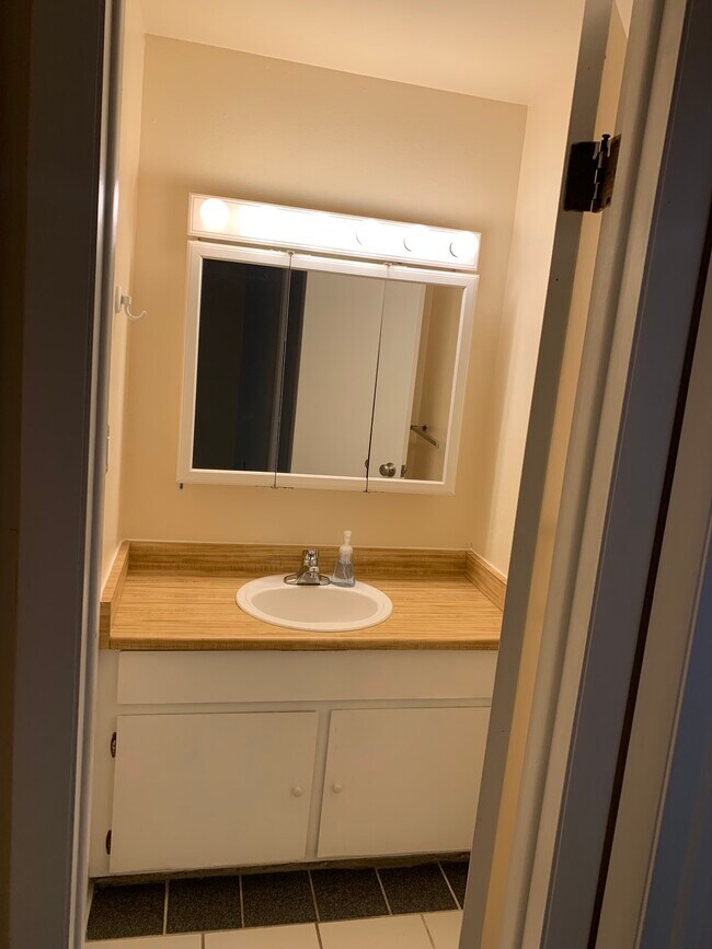 3161 Madison Ave R315, Boulder, CO 80303 - photo 5