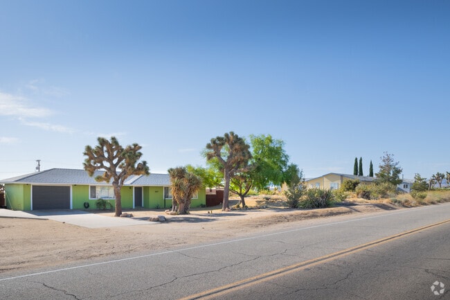 Desert landscaping seen in front of a row of homes in Joshua Tree.