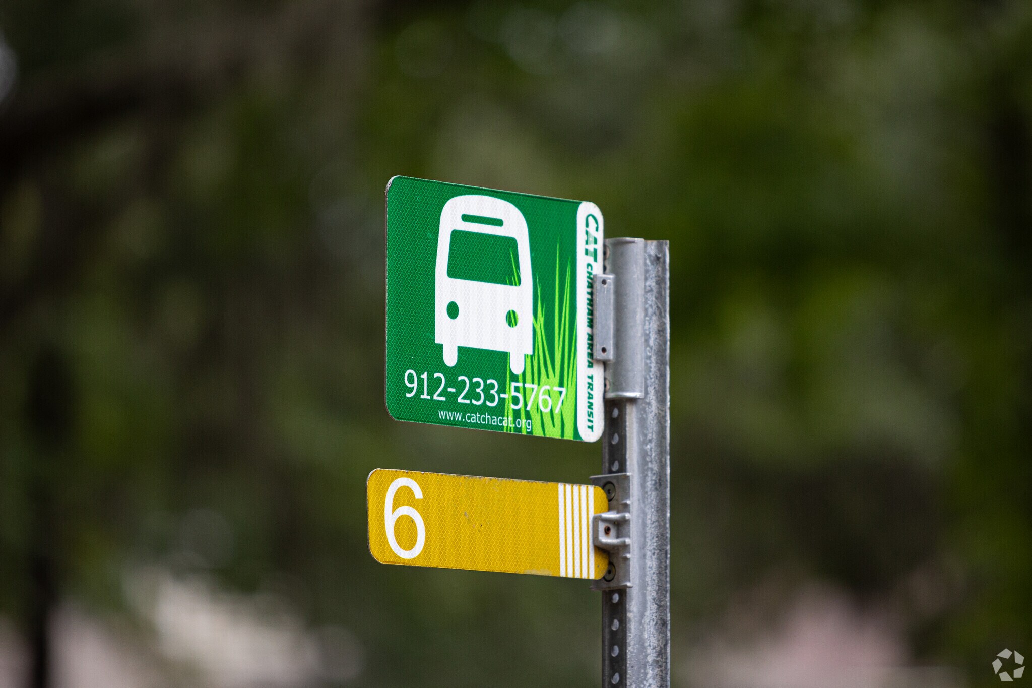 Georgetown is served by the Chatham Area Transit system.