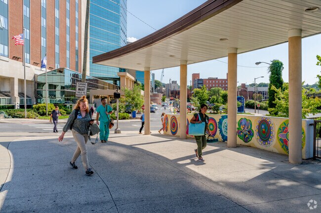 The common employer in South Roanoke is the Carilion Memorial Hospital.