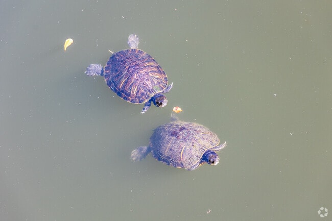 Oakleigh residents can enjoy the local wildlife at Day Lake.