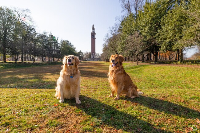 Green spaces are spread throughout the neighborhood perfect for walking your dog.