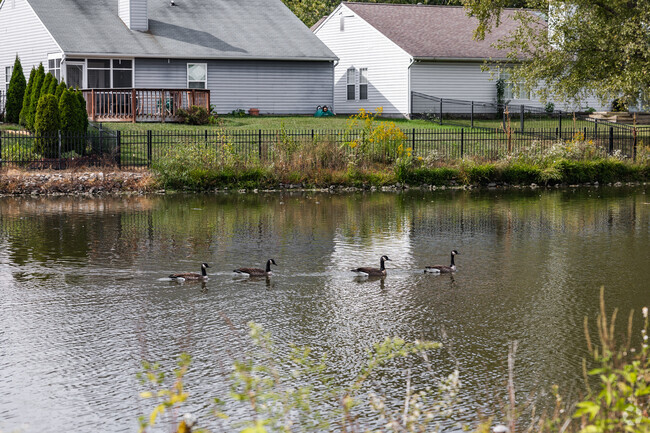 South Perry in Indianapolis has stunning wildlife around the community.