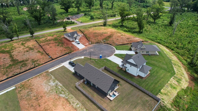 Camellia Drone-4.jpg