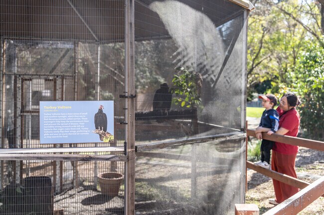Meet owls, eagles, and foxes while learning about wildlife conservation.