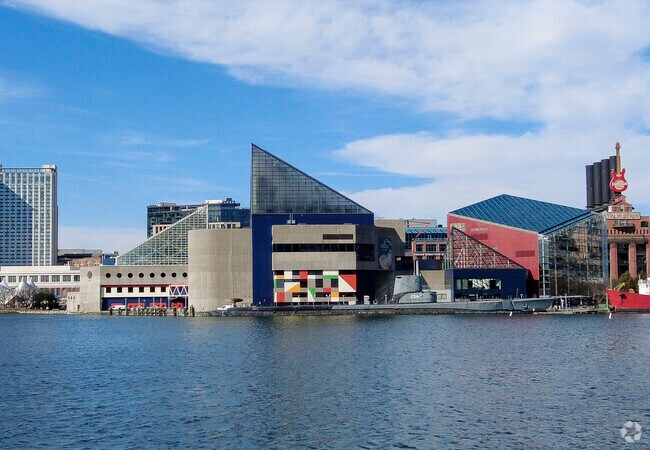 Baltimore's National Aquarium is a wonderful place to take the kids or your out-of-town guest.