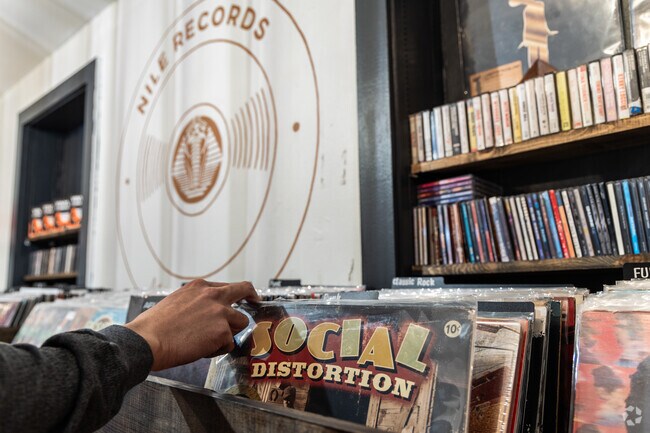 Tucked behind other local shops, Nile Records in Downtown Mesa is a hidden gem for music lovers.