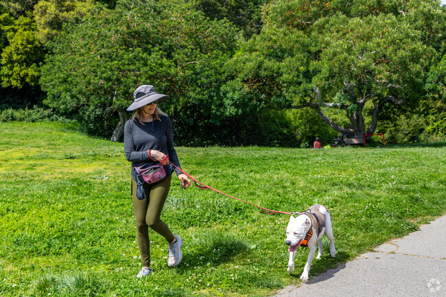 Glenview residents enjoy their morning walk around the neighborhood.
