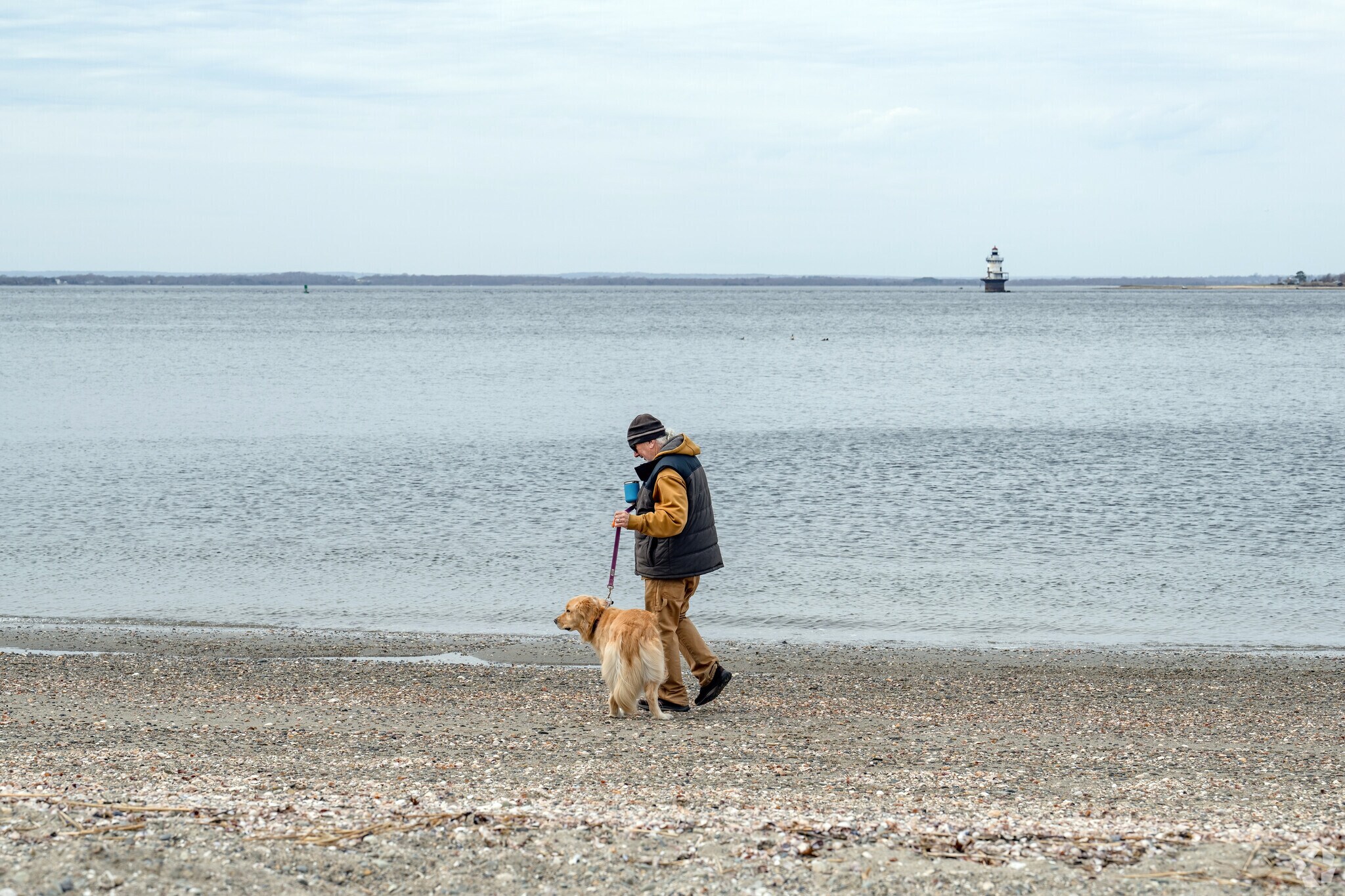 At the Phesant Drive Waterfront Public Access Point, a favorite pet can get a pleasant walk.