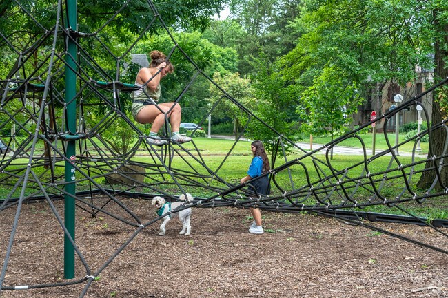 The playground at Carle Park near Fairlawn Park is loads of fun for the family.