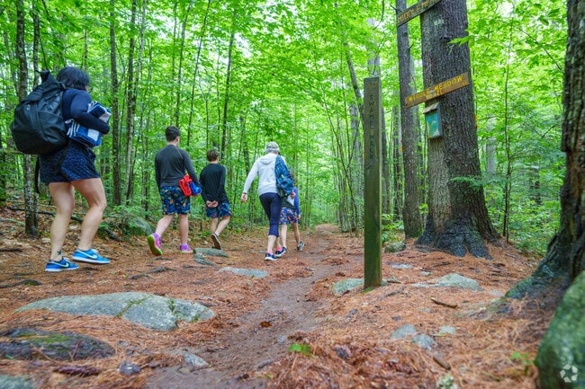 Journey through the woods to one of many beautiful coves along Squam Lake in Center Harbor.