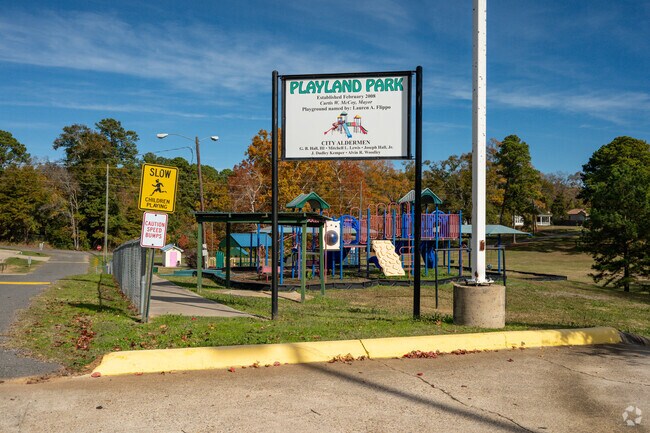 The City Aldermen of Mansfield Louisiana erected this Playland Park in the center of Mansfield.