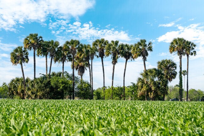 Raymondville is known for it's agricultural trade center reputation since it's founding in early 1904.