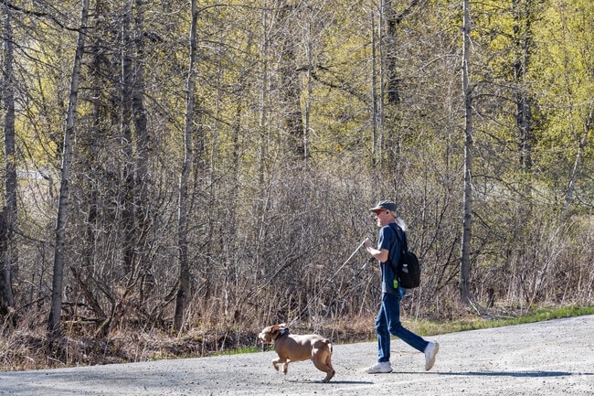 Buffalo Soapstone dog walking happens all around and many wooded trails over serenity.