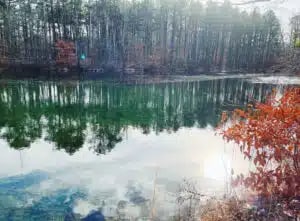 724 Monmouth Rd, Cream Ridge, NJ 08514 - photo 3