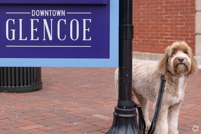 The village of Glencoe strikes a balance between nature and community.