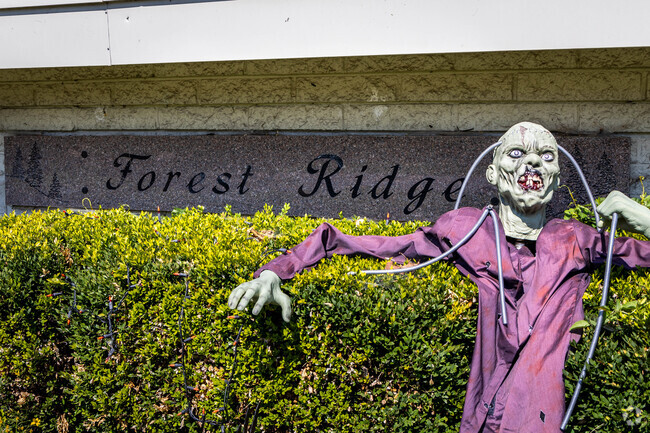 Every year Forest Ridge has neighborly halloween decorating competitions.