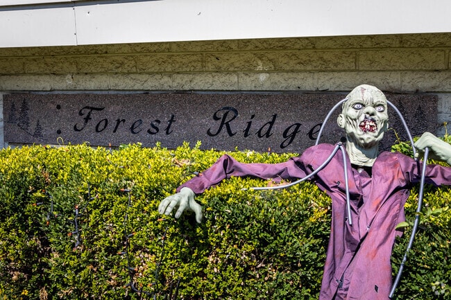 Forest Ridge Quail Hollow residents take spooky season seriously.