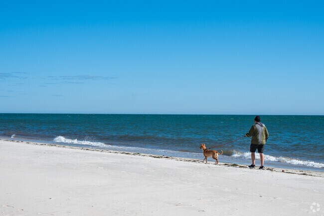 The beaches of South Yarmouth are the perfect place to take a walk with your four-legged friend.