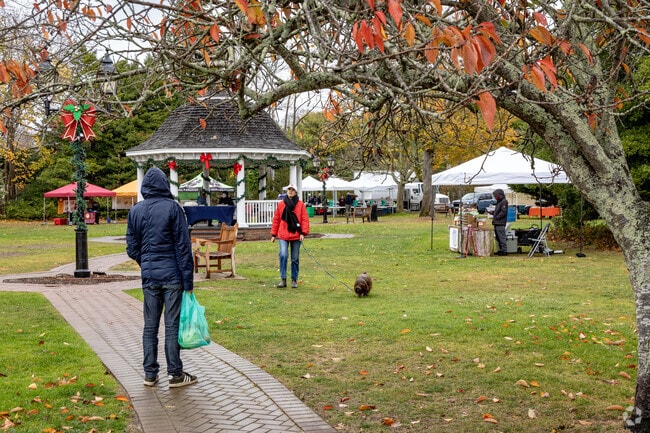 Residents check out the Westhampton Beach farmers market.