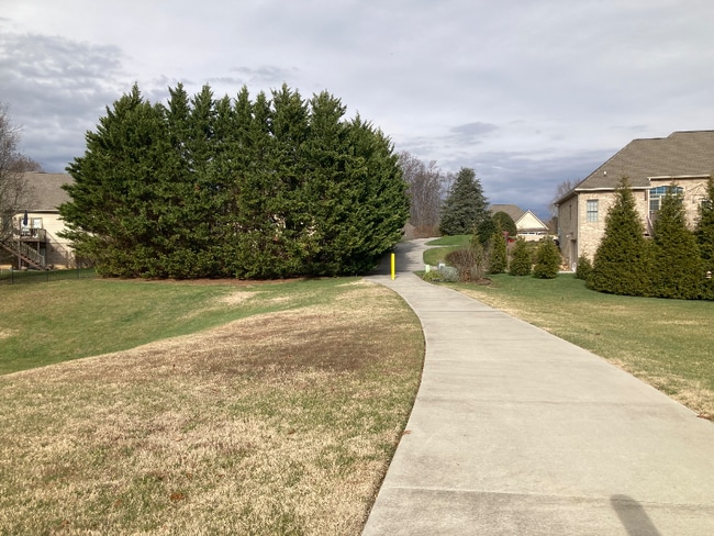 108 Celtic Ct, Johnson City, TN 37604 - photo 3