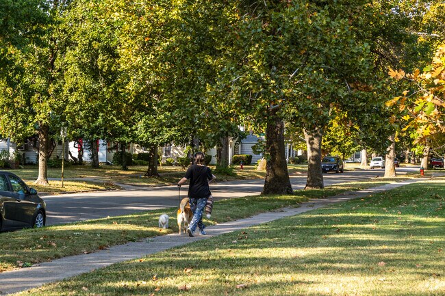 Locals enjoy morning walks with their pups at Goodnow Park.