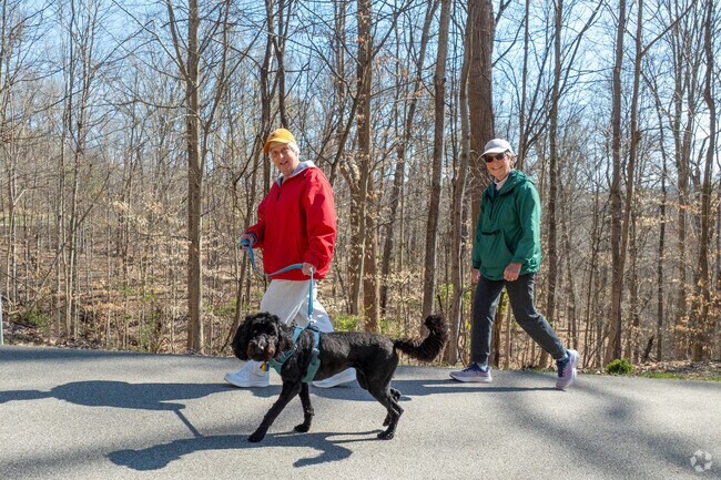 Little Creek Park offers scenic walking paths, making it the perfect spot for a stroll with your dog and friends, surrounded by nature in South Charleston, WV.
