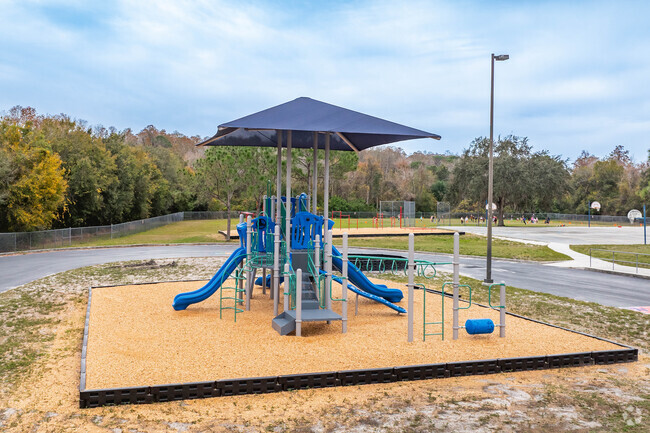 Kids enjoy playing on the play area at Brooker Creek Elementary.