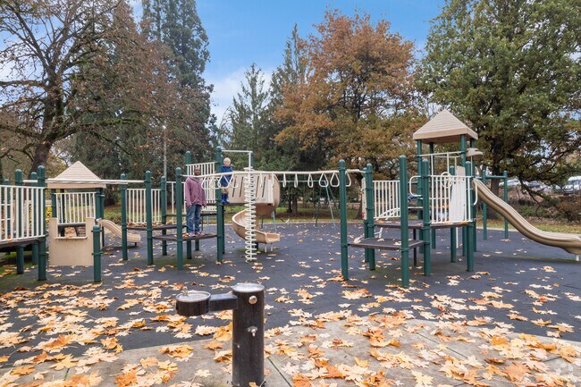 There is a large playground at Island Park near Downtown Springfield.