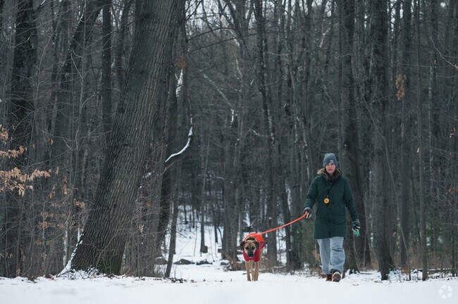 Oakledge Park patrons take advantage of the snowy views to take their dog for a walk in South Burlington.