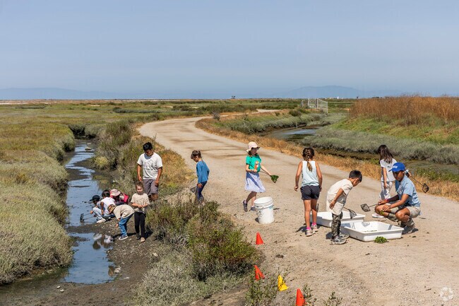 Mount Eden kids can learn about the natural world through Hayward Regional Shoreline's programs.