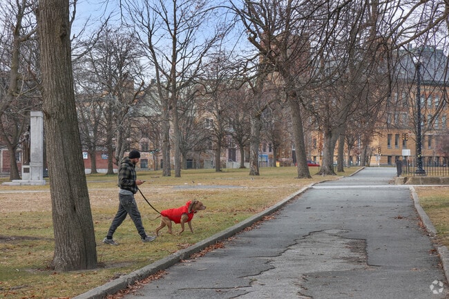 Campagnone Common is a great place for locals of Prospect Hill-Back Bay to walk your dog.