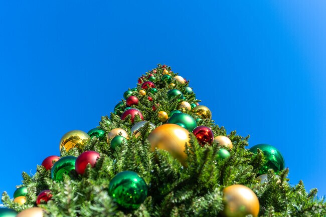 There are events that occur annually in Des Plaines including a holiday tree lighting.