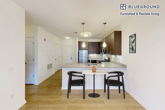 333 Great River Rd unit FL5-ID4692A, Somerville, MA 02145 - photo 5