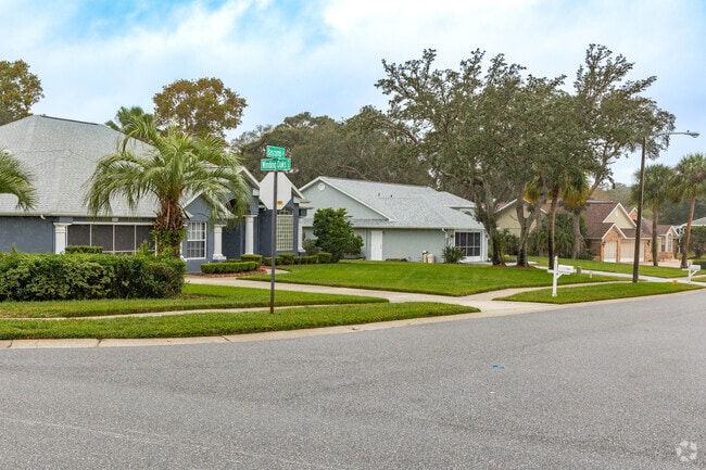 Shady Hills residents enjoy neighborhood walks on the clean sidewalks.