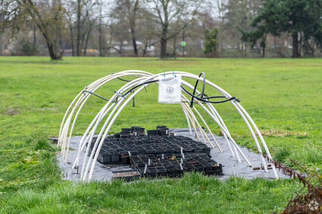 Early College and Career Options has an area to grow native plants in Eugene, Oregon.