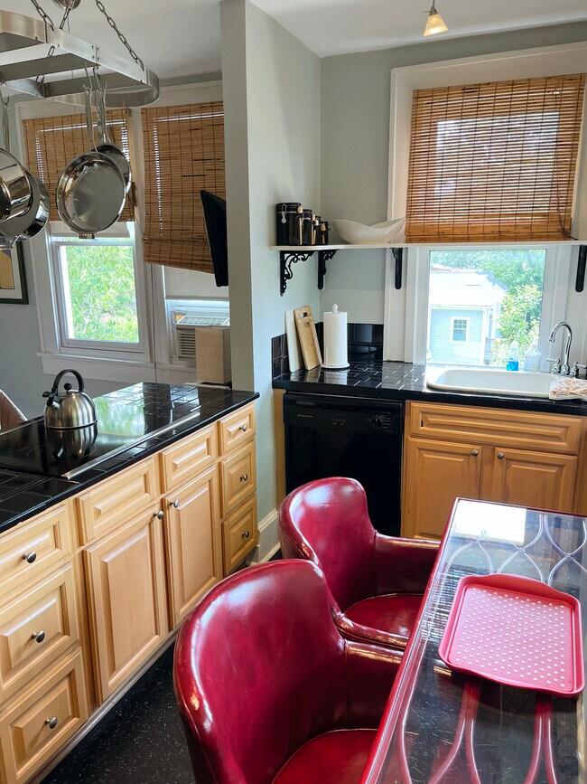 41 Starnes Ave unit 3, Asheville, NC 28801 - photo 5