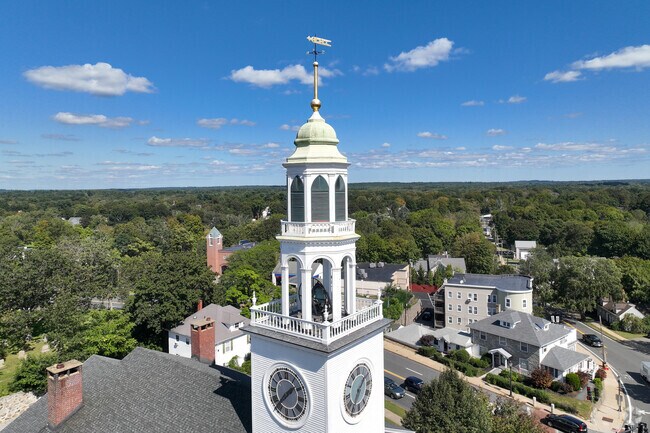 Beautiful weathervanes grace the skyline of Reading.