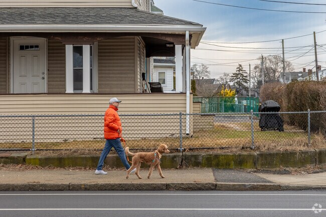 North Weymouth is a fantastic place to walk your furry friend.