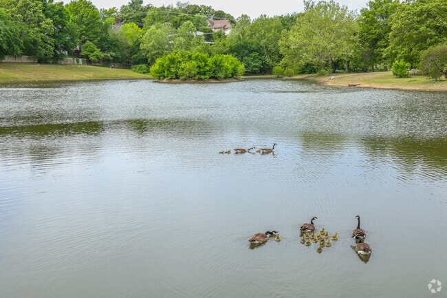 Find serenity at Minshall Park in Southridge Estates.