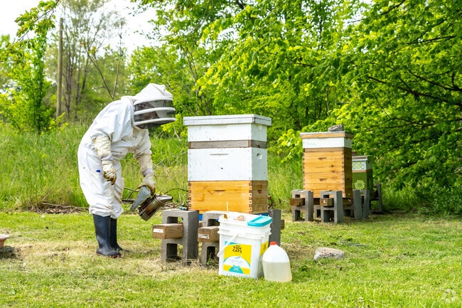 Poletown East is home to a number of community gardens and bee farms.