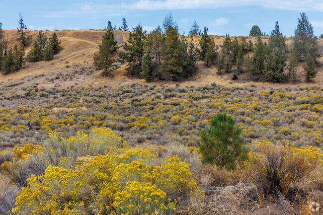 Tumalo is surrounded by natural beauty and farmlands.