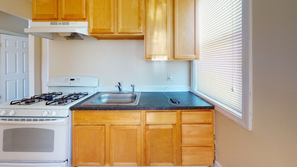 15 Langdon St unit 15-1, Roxbury, MA 02119 - photo 1