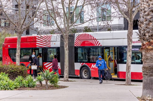The MTS offers connections to many destinations from Vineyard.