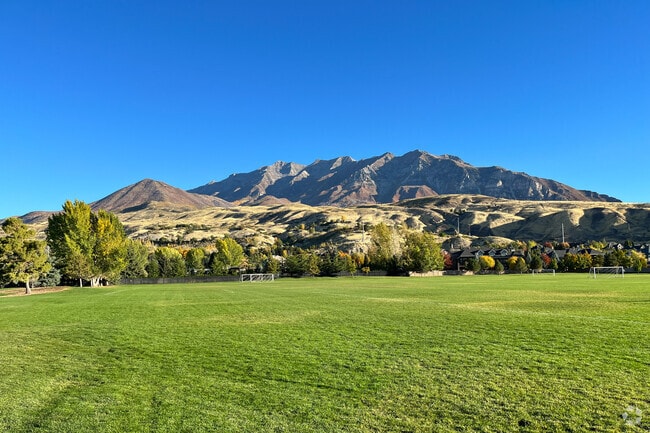Palisades Park has a plethora of open green space.