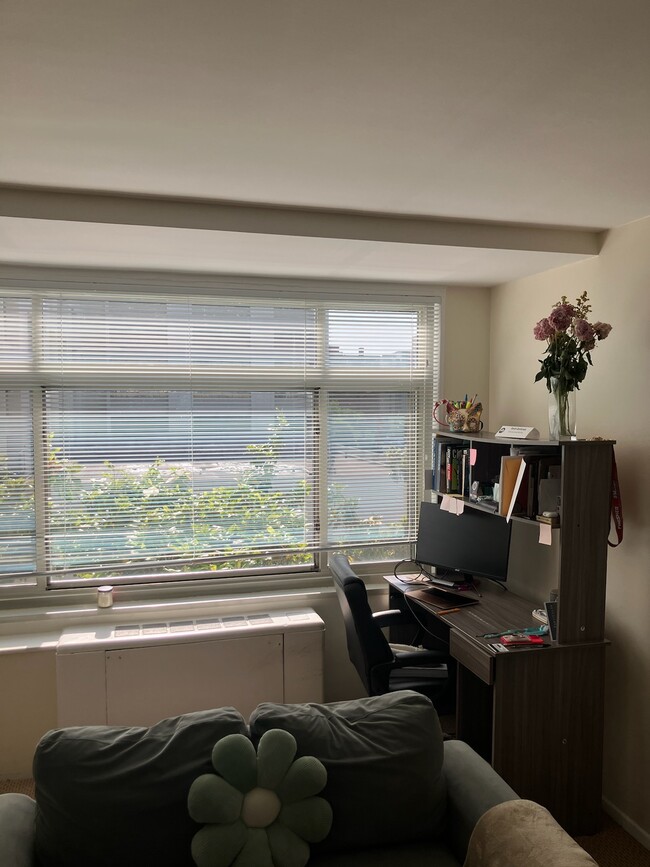 STUDY AREA