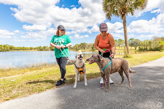 Don't forget to bring your furry friends for a walk at Okeeheelee Park.