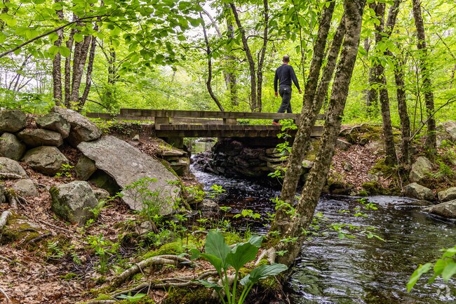 Explore the vast network of walking trails through Douglas State Forest.