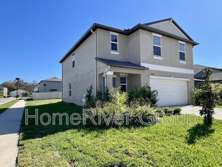 17974 Beaming Rays Ln, Lutz, FL 33558