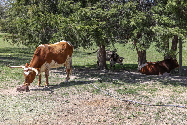 There are homes in Fairview City with yards large enough that you can raise cattle.